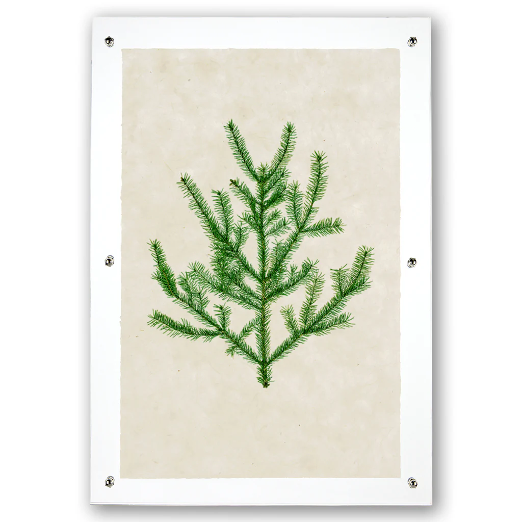 Balsam Fir Handmade Paper Wall Art Print - Image 3