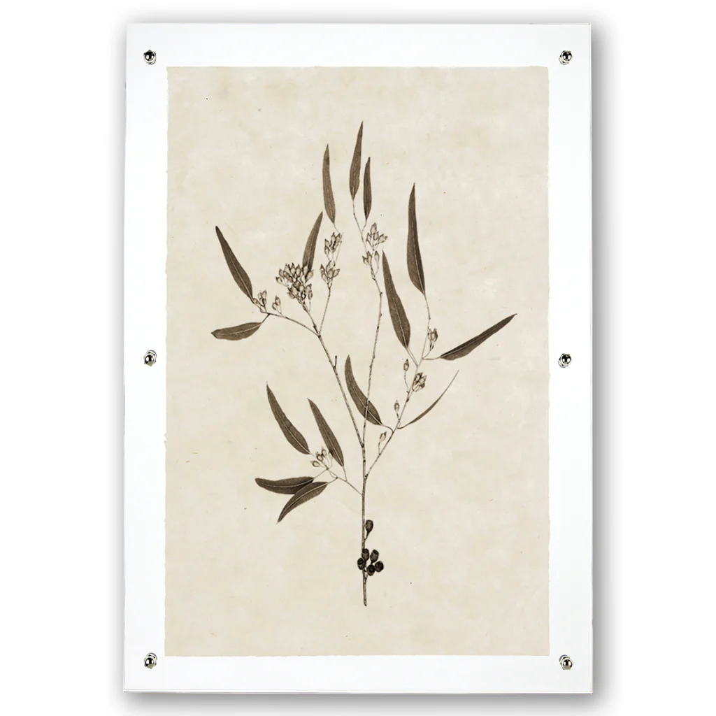 Eucalyptus #5 Handmade Paper Wall Art Print - Image 3