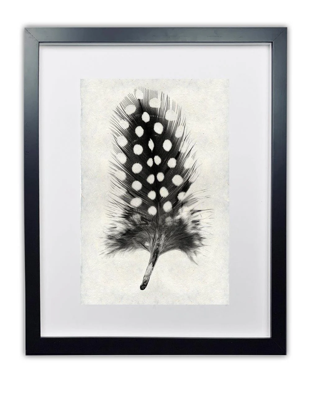 Guinea Fowl Feather Study #1 Handmade Paper Wall Art Print - Image 3