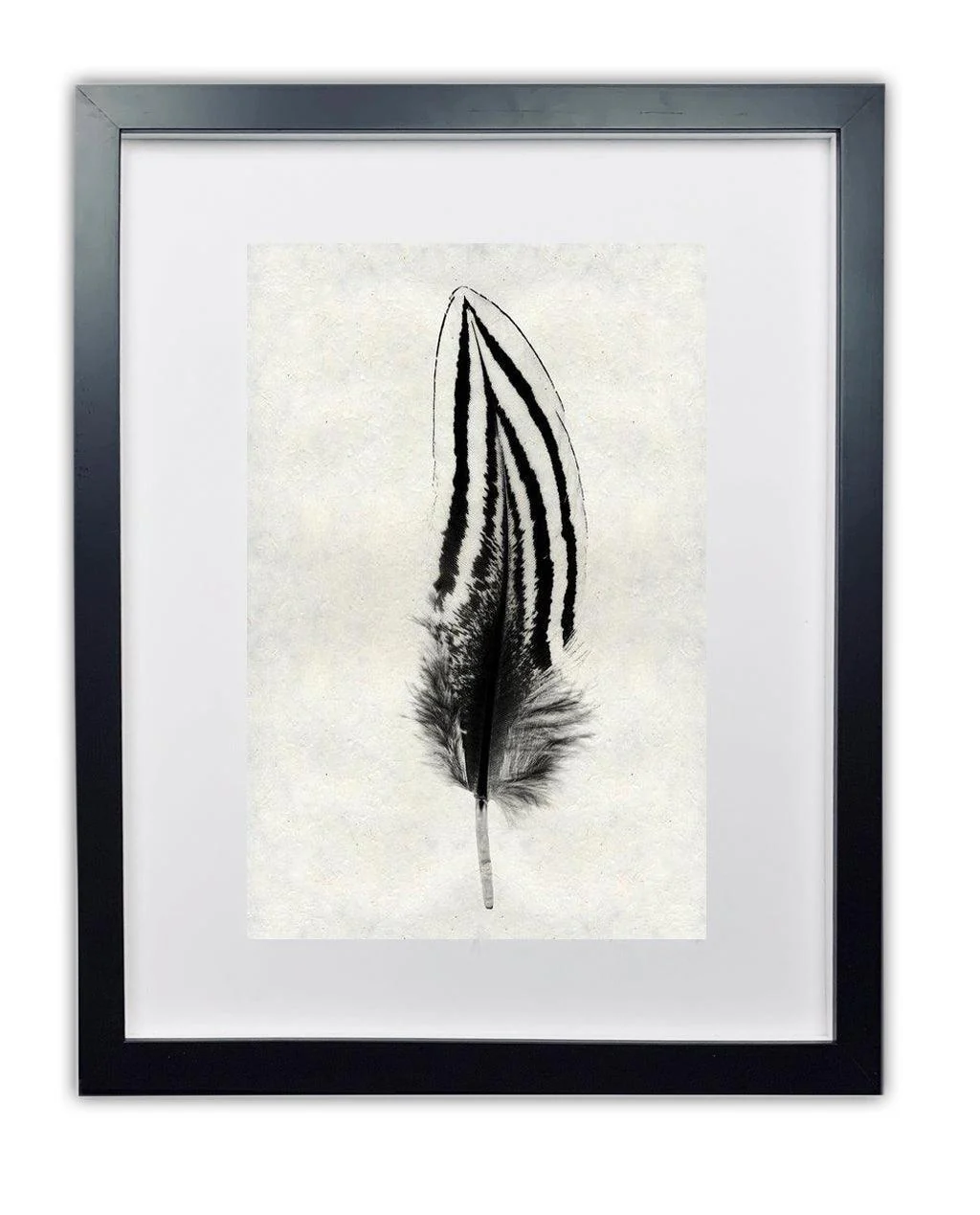 Silver Pheasant Feather Study #2 Handmade Paper Wall Art Print - Image 3