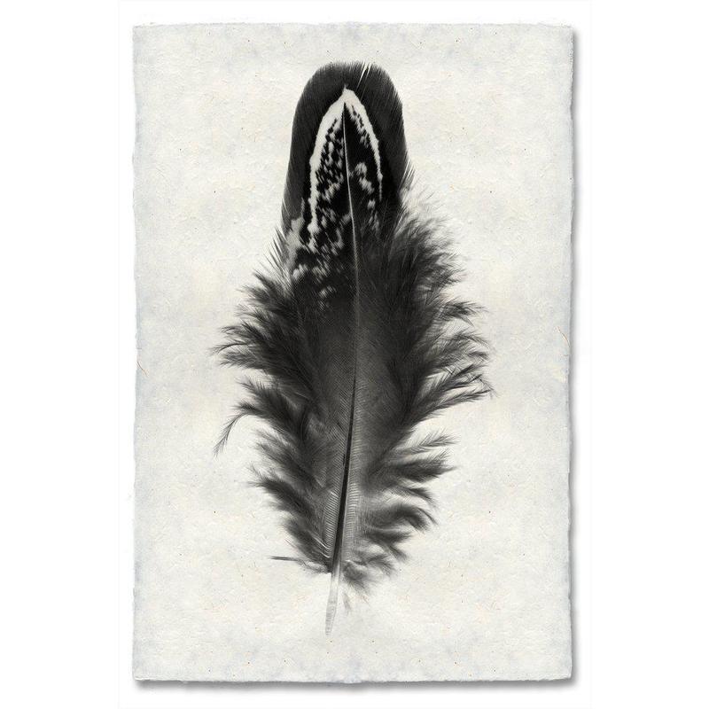Mallard Duck Feather Study #3 Handmade Paper Wall Art Print