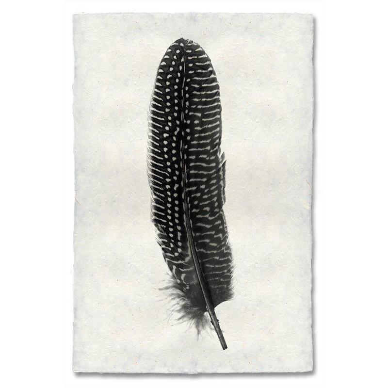 Pheasant Feather Study #5 Handmade Paper Wall Art Print
