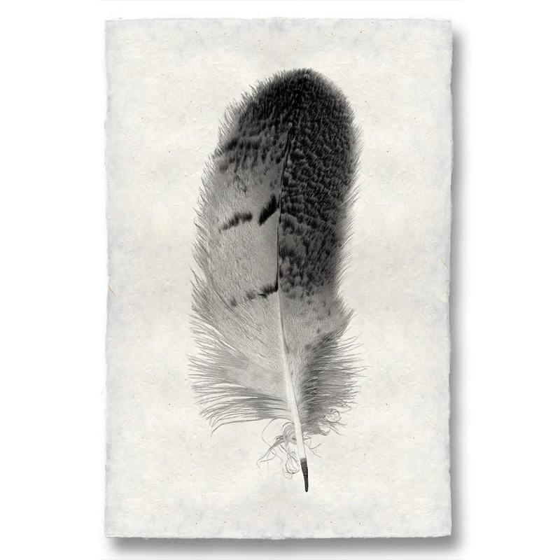 Owl Feather Study #7 Handmade Paper Wall Art Print