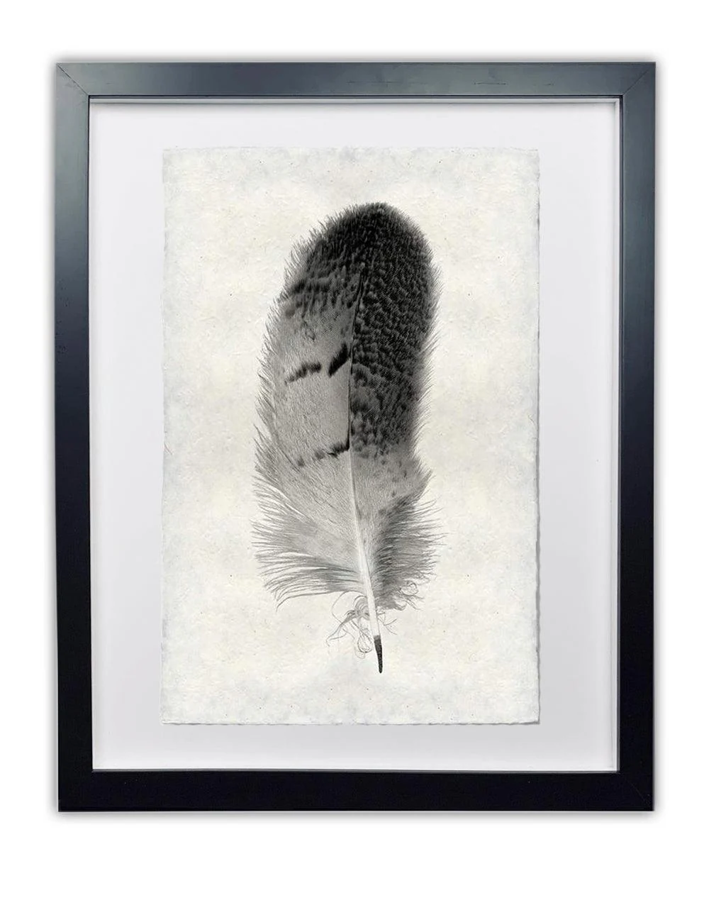 Owl Feather Study #7 Handmade Paper Wall Art Print - Image 3
