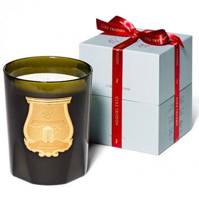 Trudon Ernesto Great Scented Candle - Image 4