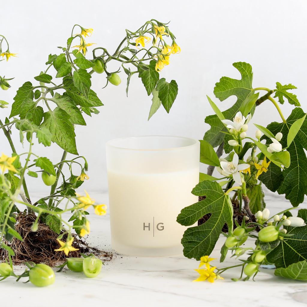 Hudson Grace San Marzano Scented Candle - Image 5