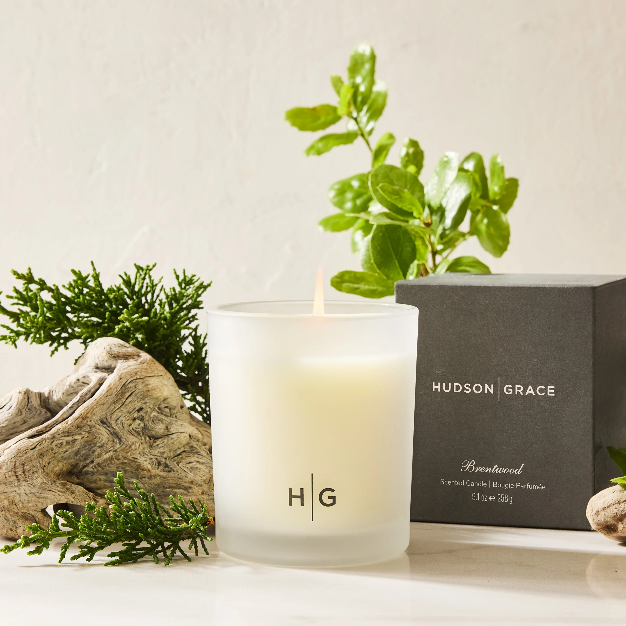 Hudson Grace Brentwood Scented Reed Diffuser Oil Refill - Image 5