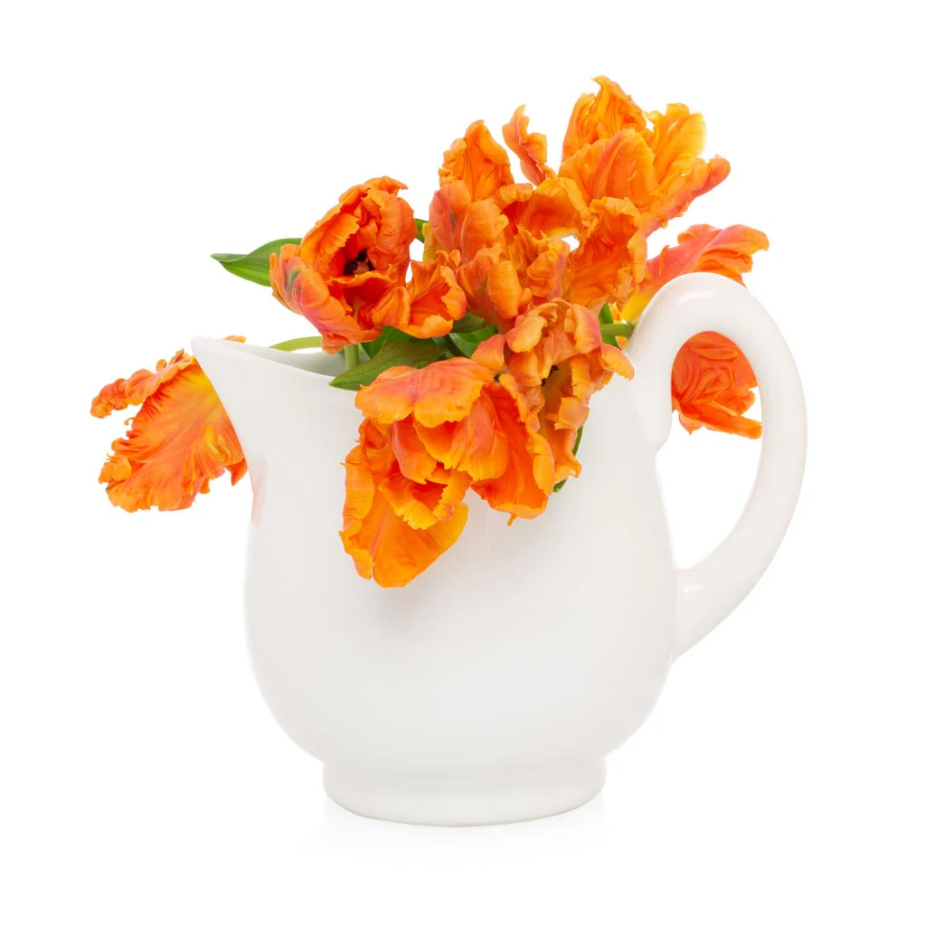 Original Lemonade Ceramic Pitcher - Image 3