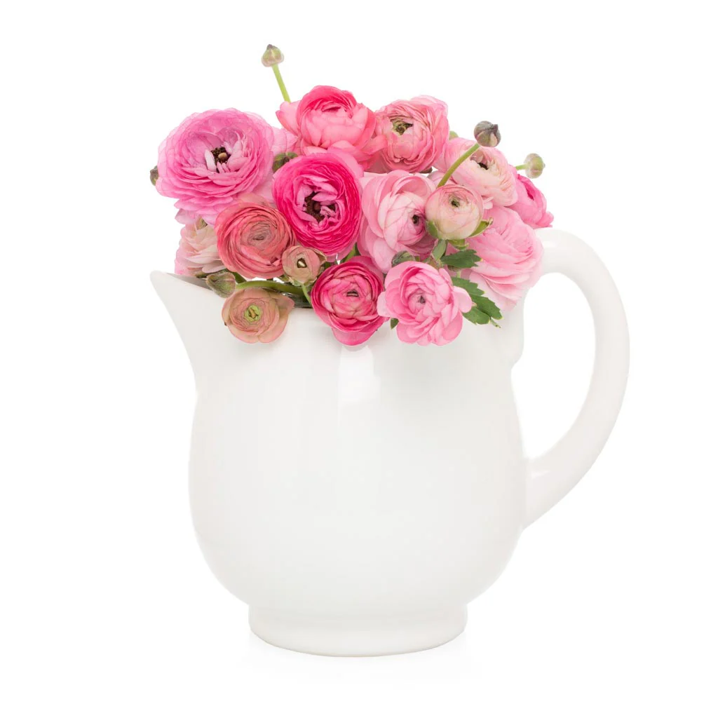 Original Lemonade Ceramic Pitcher - Image 4