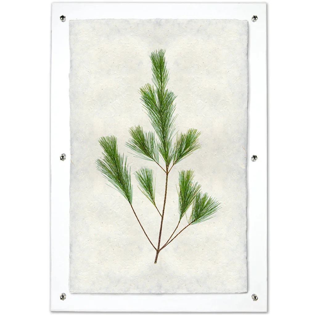 Pine Handmade Paper Wall Art Print - Image 3