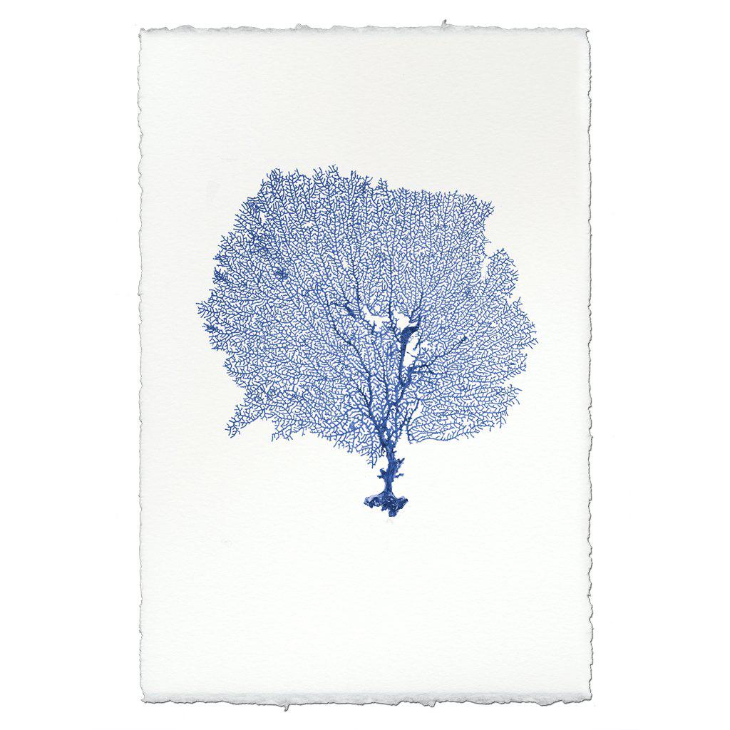 Round Sea Fan Handmade Paper Wall Art Print - Image 4