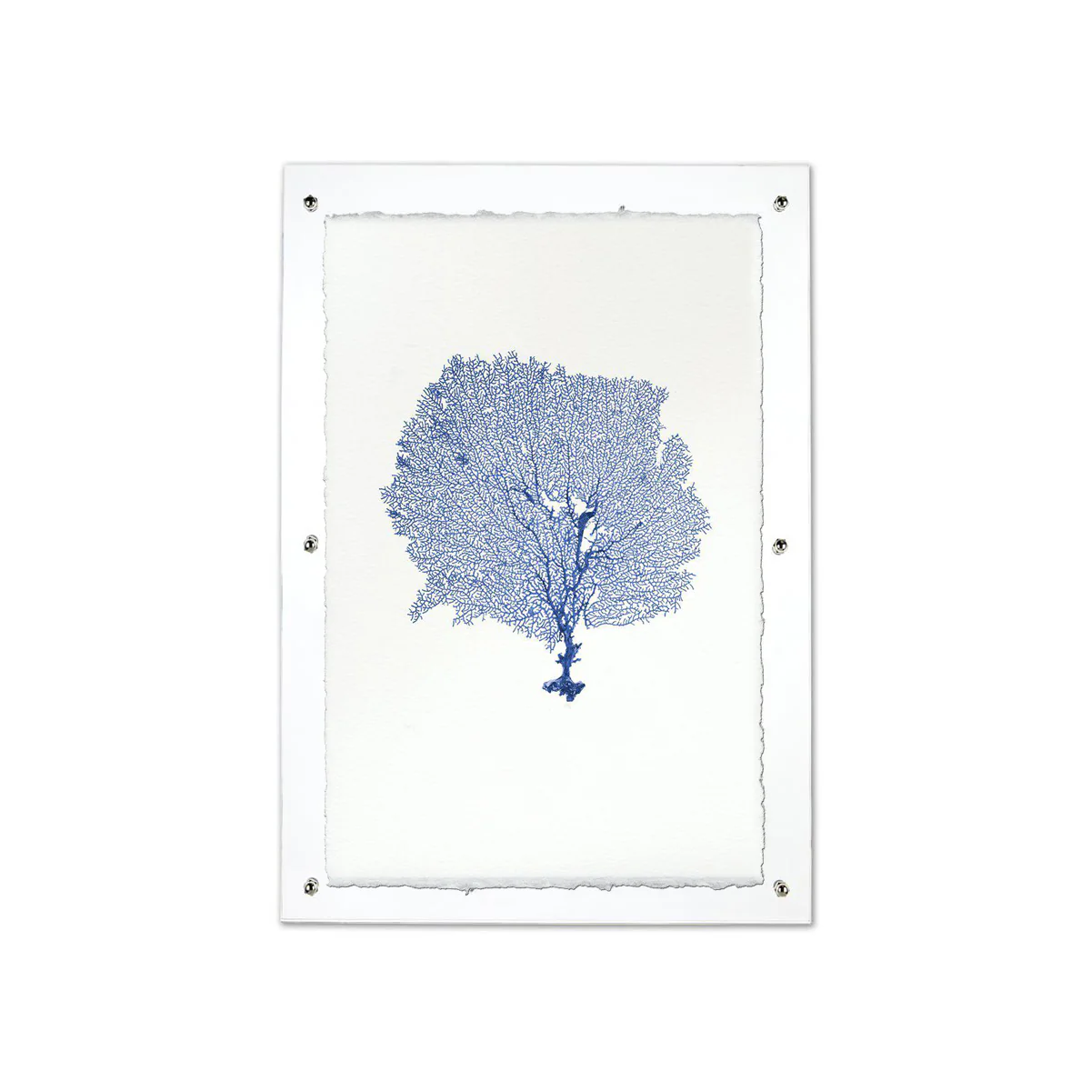 Round Sea Fan Handmade Paper Wall Art Print - Image 5