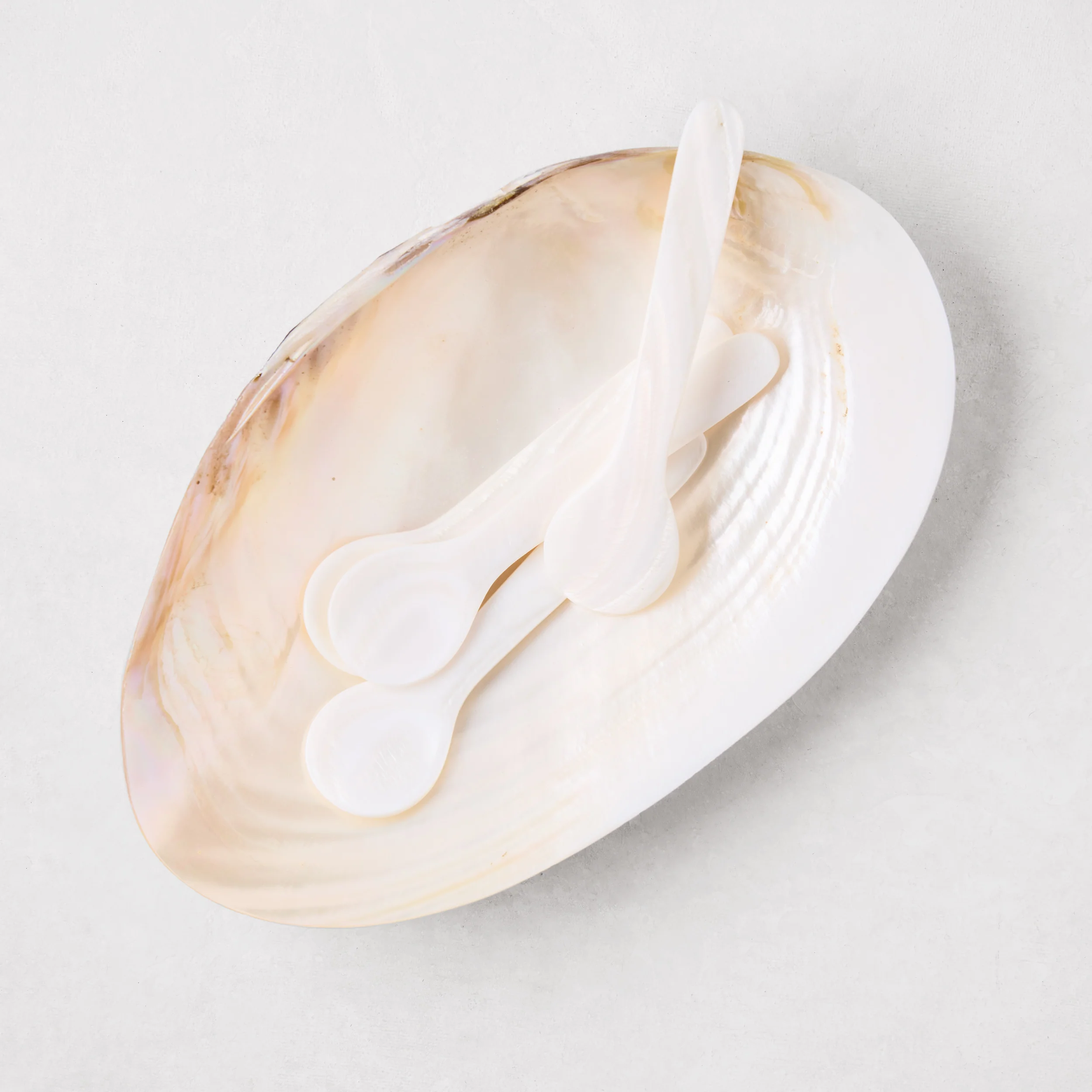Shell Caviar Dish and Set of 4 Spoons