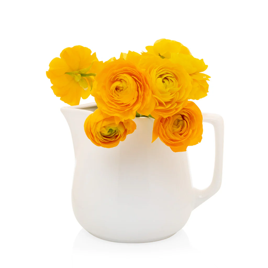 Small Milk Pitcher - Image 4