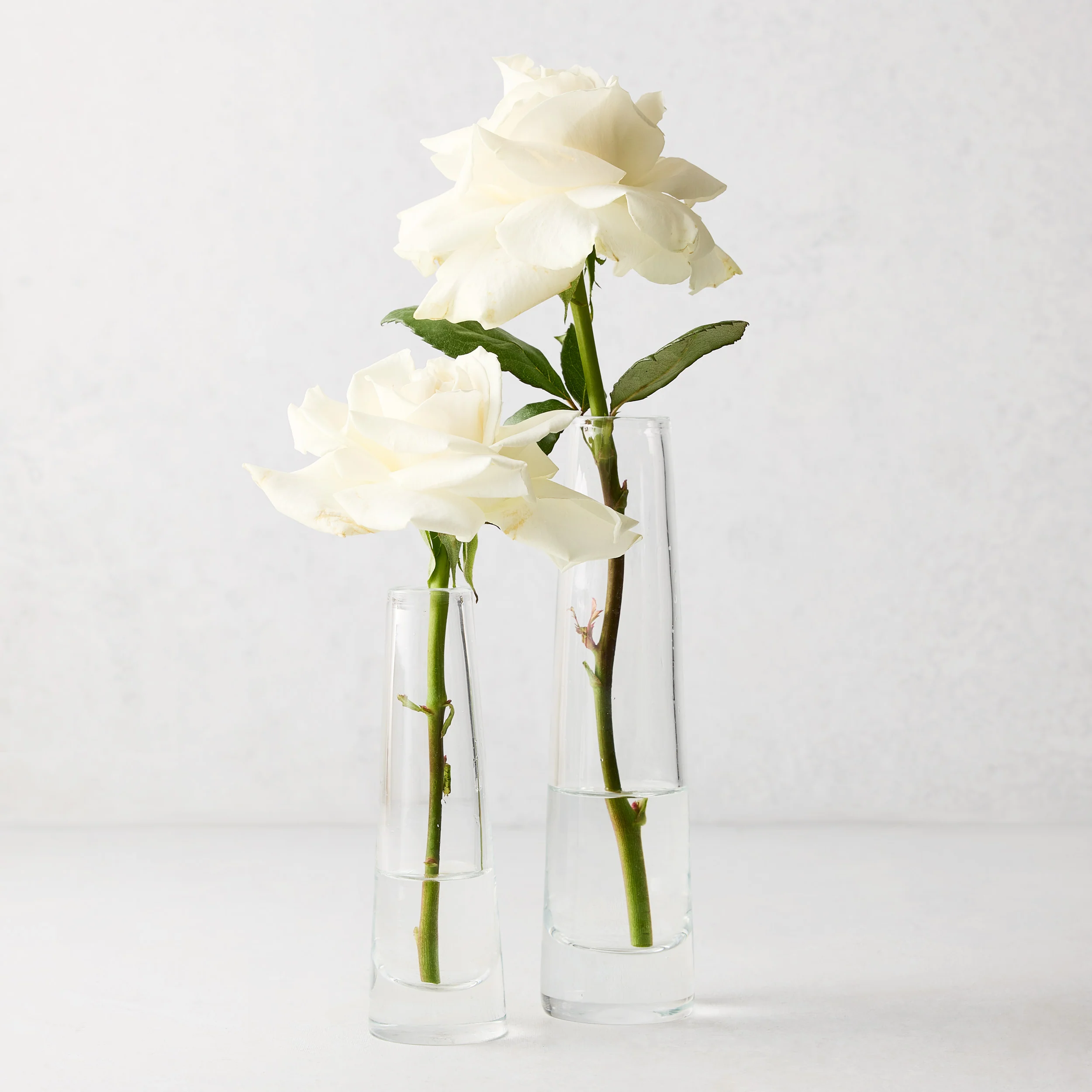 Solifleur Large Glass Bud Vase - Image 4