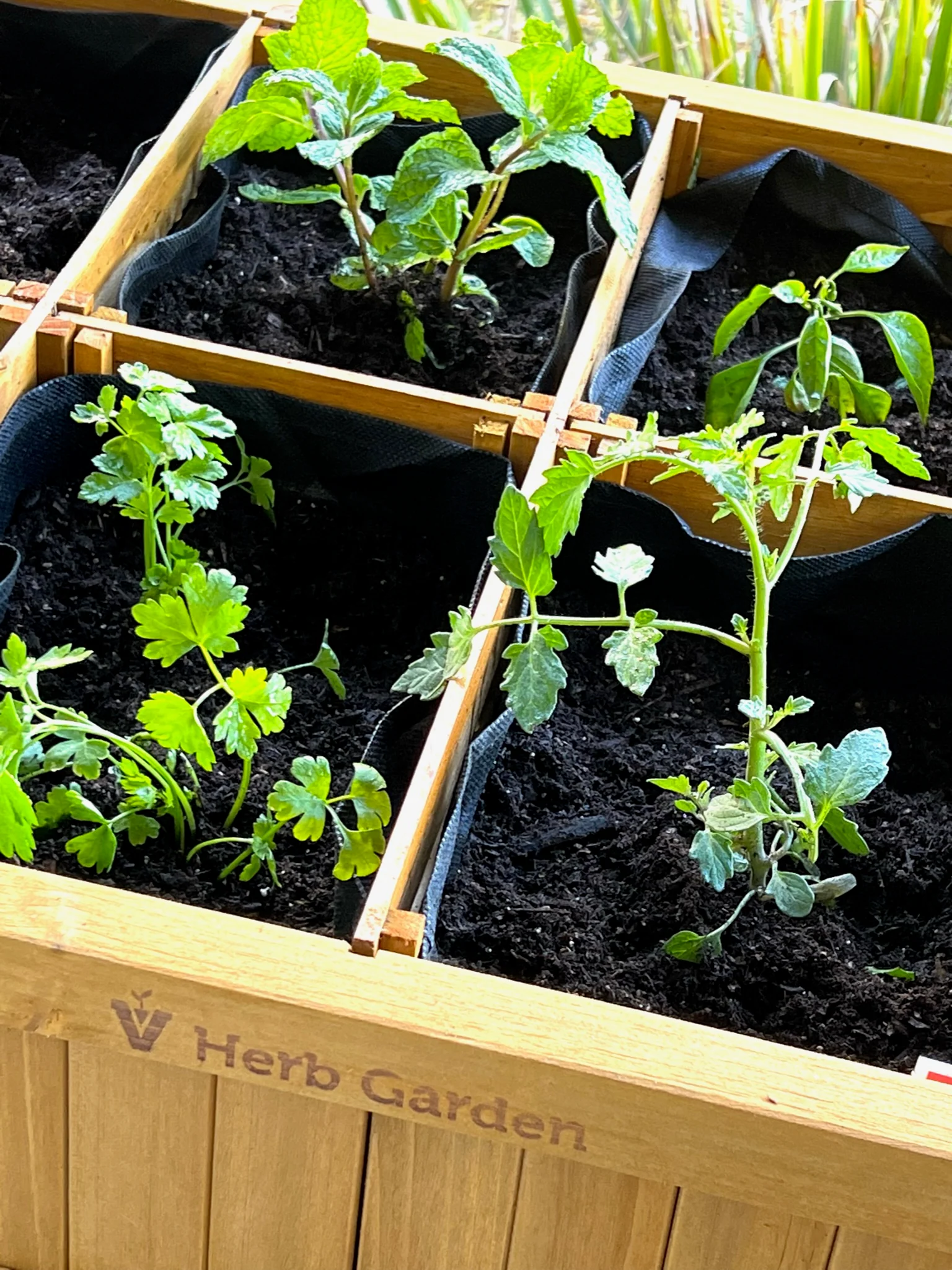 VegTrug Wood Herb Garden Planter - Image 4